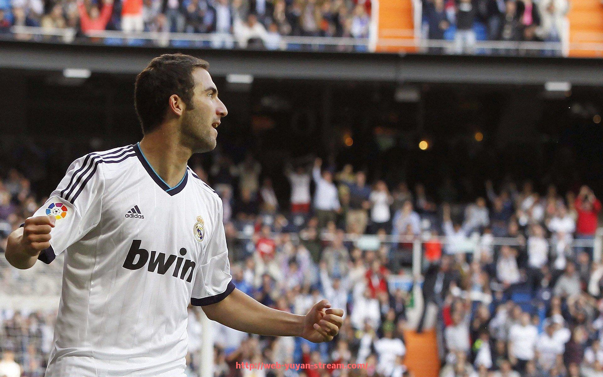 雨燕直播-国外健身器材优缺点分析及市场趋势