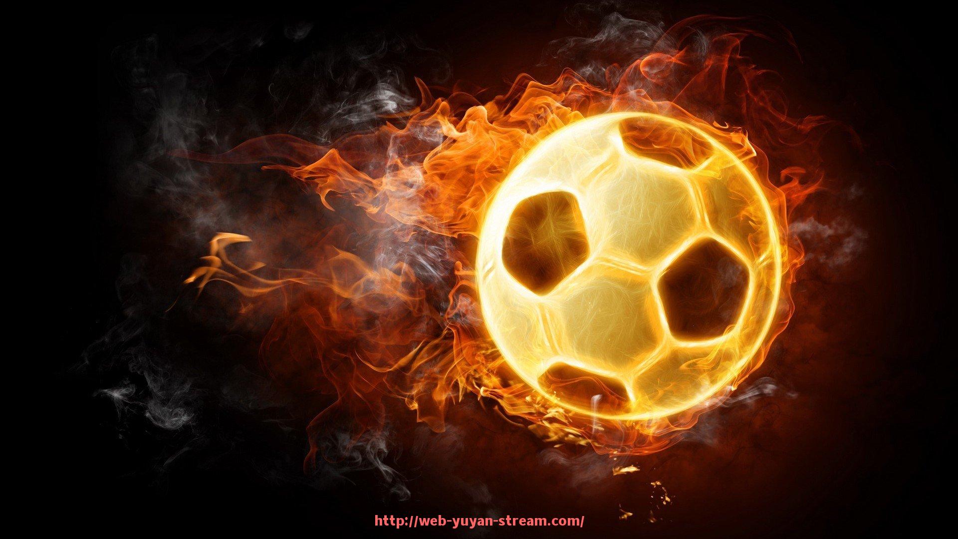 雨燕直播-福州万年青健身器材产品一览