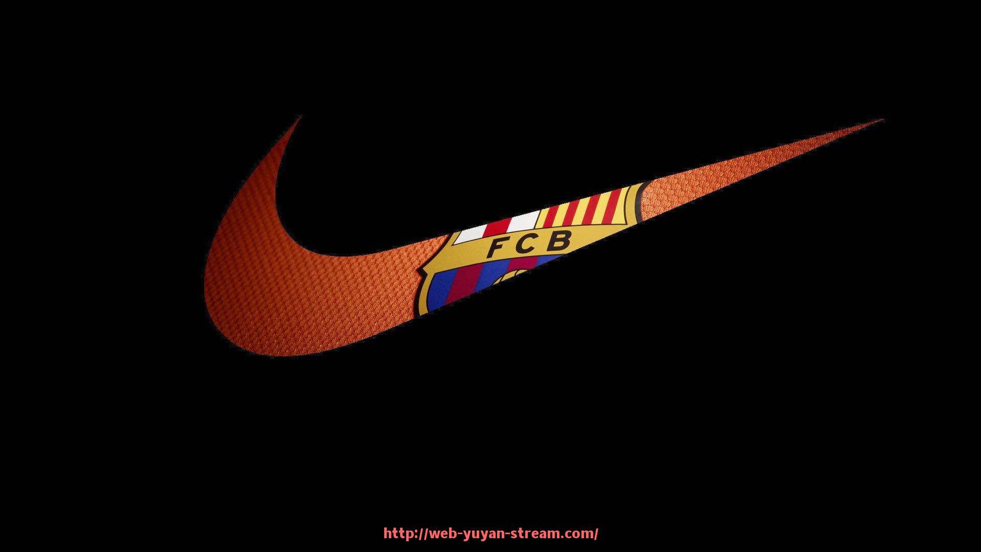 雨燕直播-天津泰达队2005赛季中超联赛成绩回顾